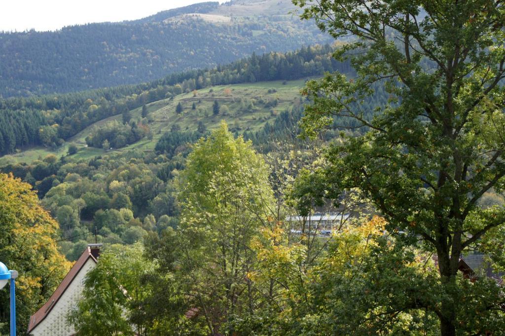 Hotel Restaurant Perle Des Vosges Muhlbach-sur-Munster Zewnętrze zdjęcie